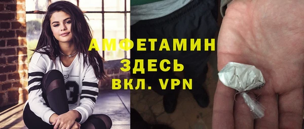сатива Алзамай