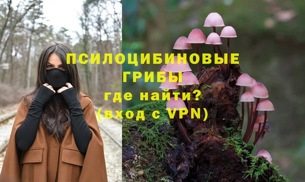 твердый Алексин