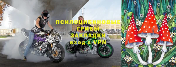 твердый Алексин