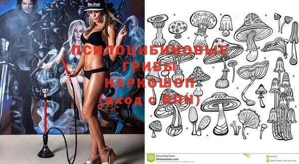 твердый Алексин